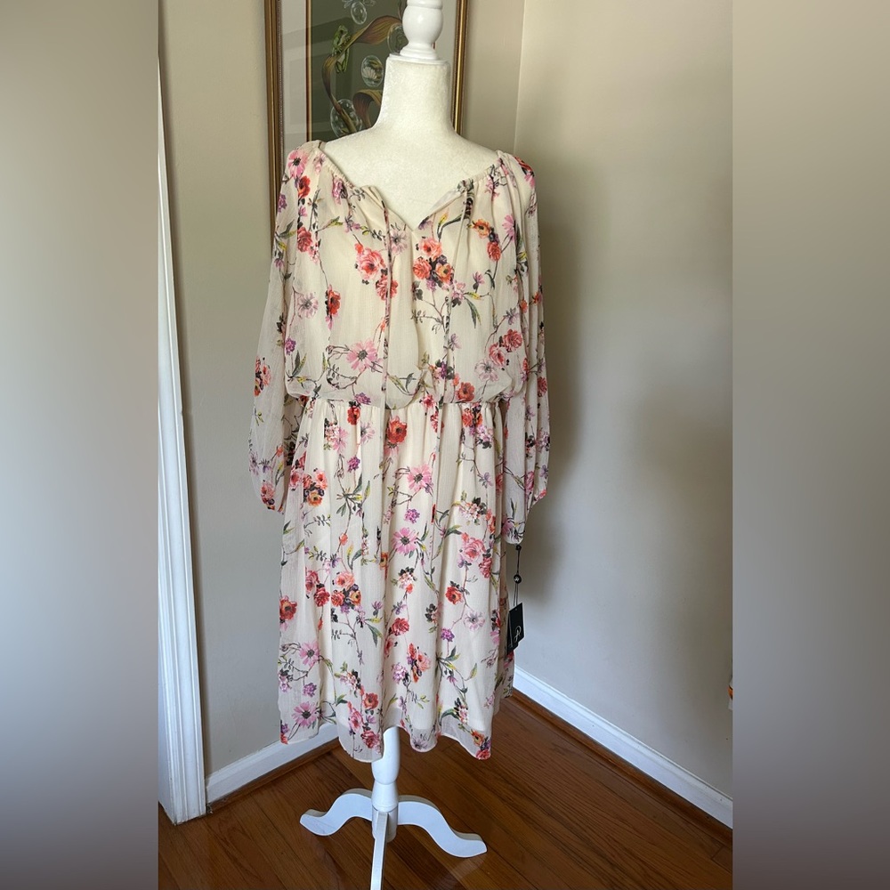 Adrianna Papell Floral Print Dress